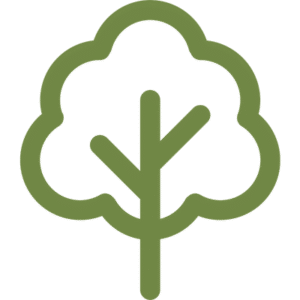 chuys tree service tree bullet icon