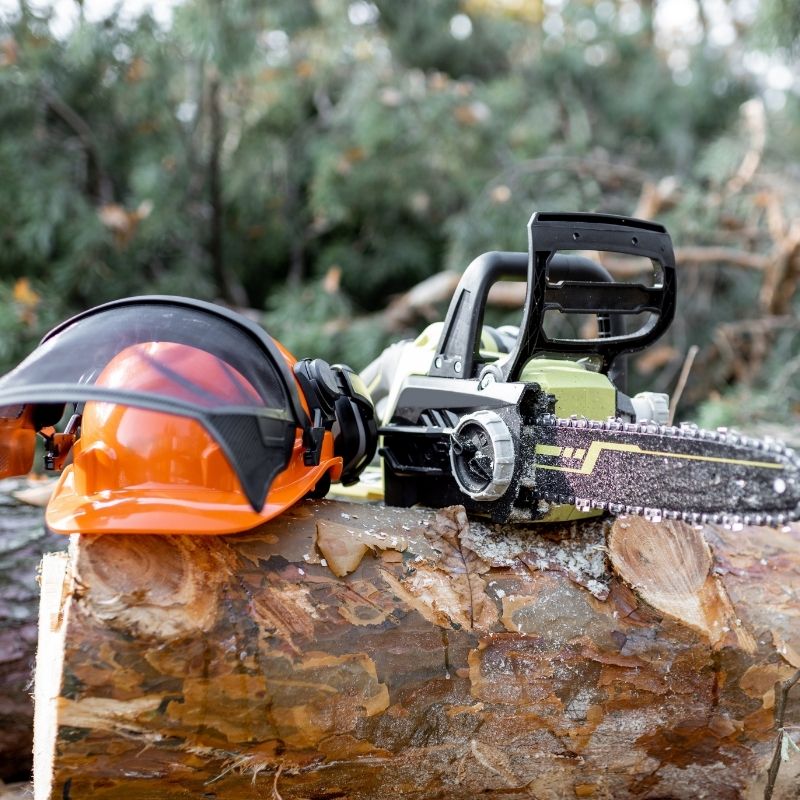 chuys tree service faqs general