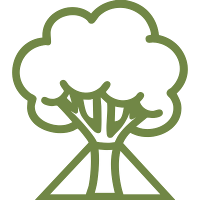chuystreeservices cabling service icon