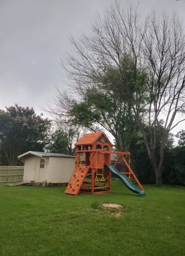 chuys tree service tree removal 3 after resized