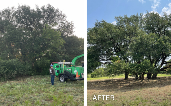 chuystreeservices land clearing before and after