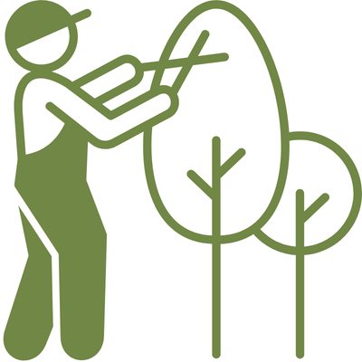 chuystreeservices trimming icon